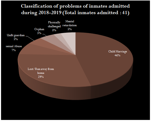 Classification of problems of inmates admitted during 2018-2019