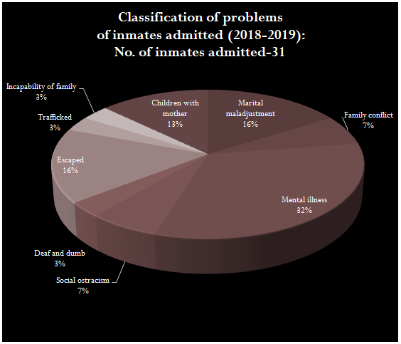 Classification of problems of inmates admitted (2018-2019)